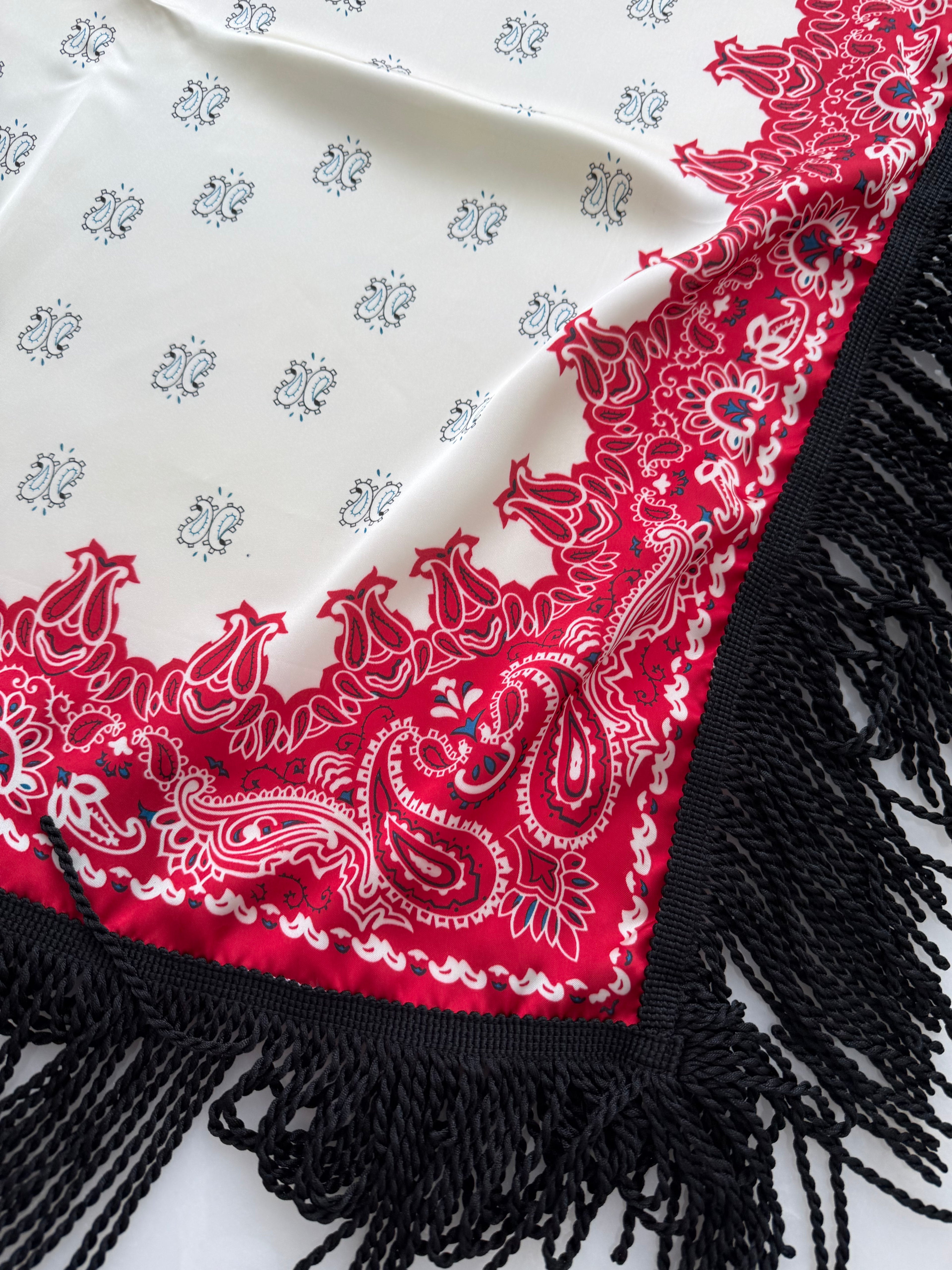 Fringed Printed Silk Twill Scarf