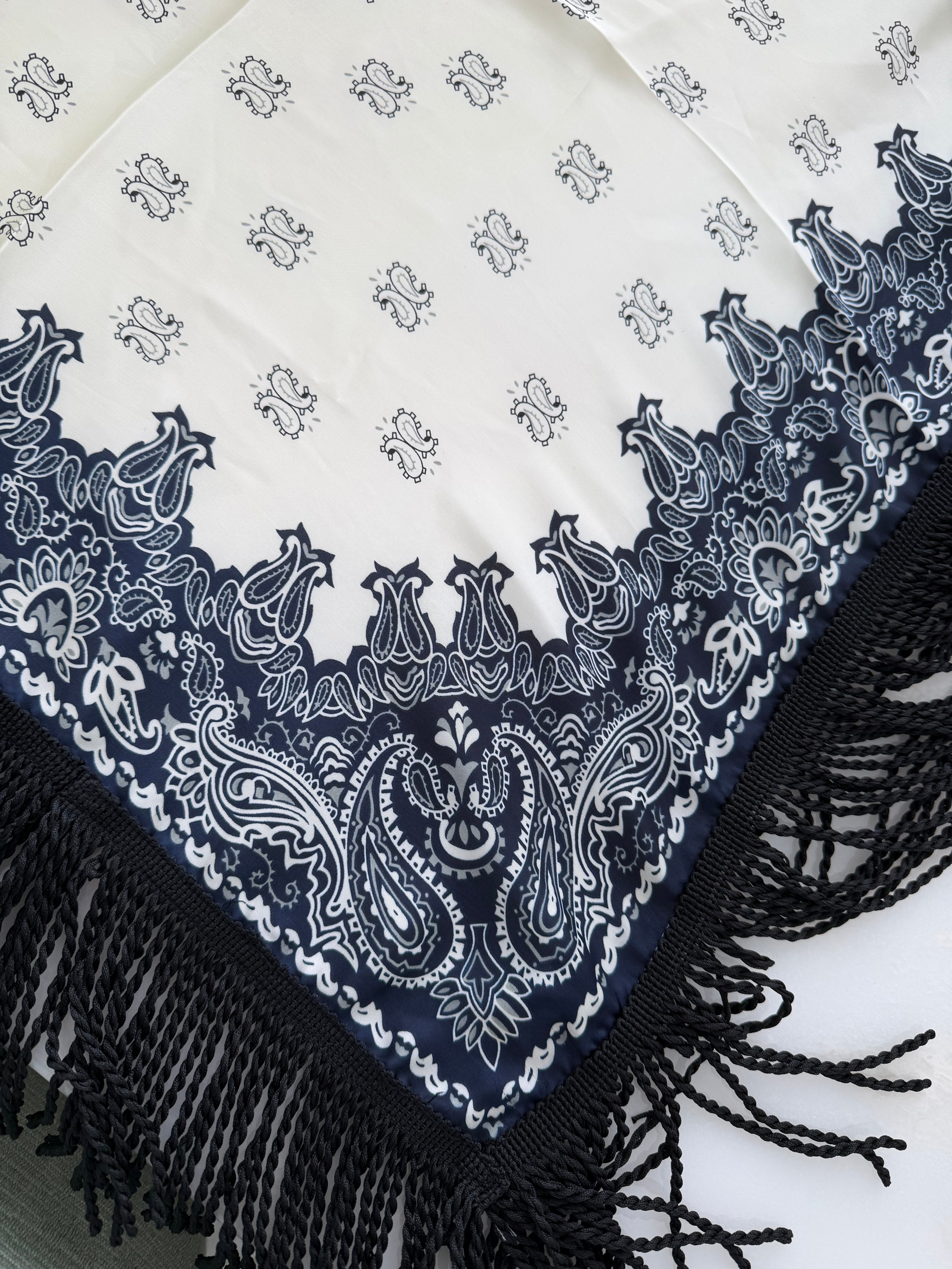 Fringed Printed Silk Twill Scarf