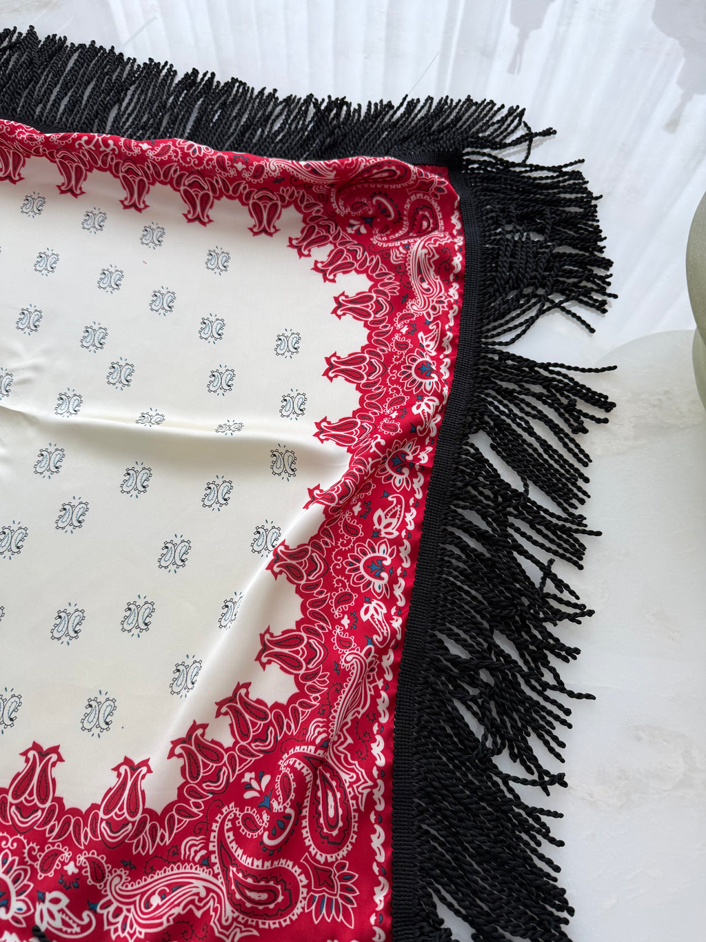Fringed Printed Silk Twill Scarf