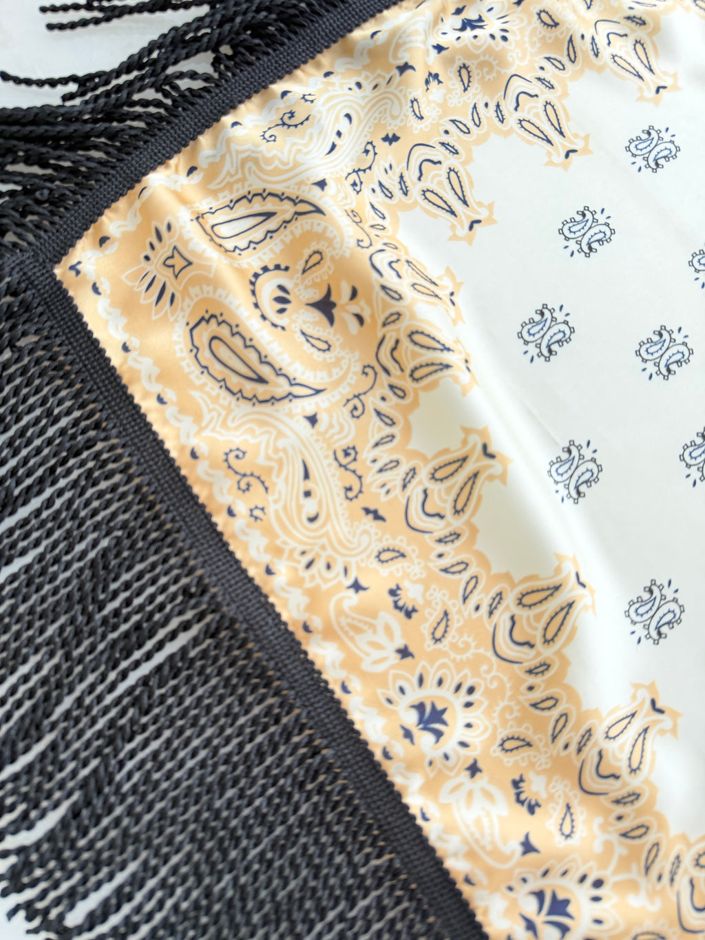Fringed Printed Silk Twill Scarf