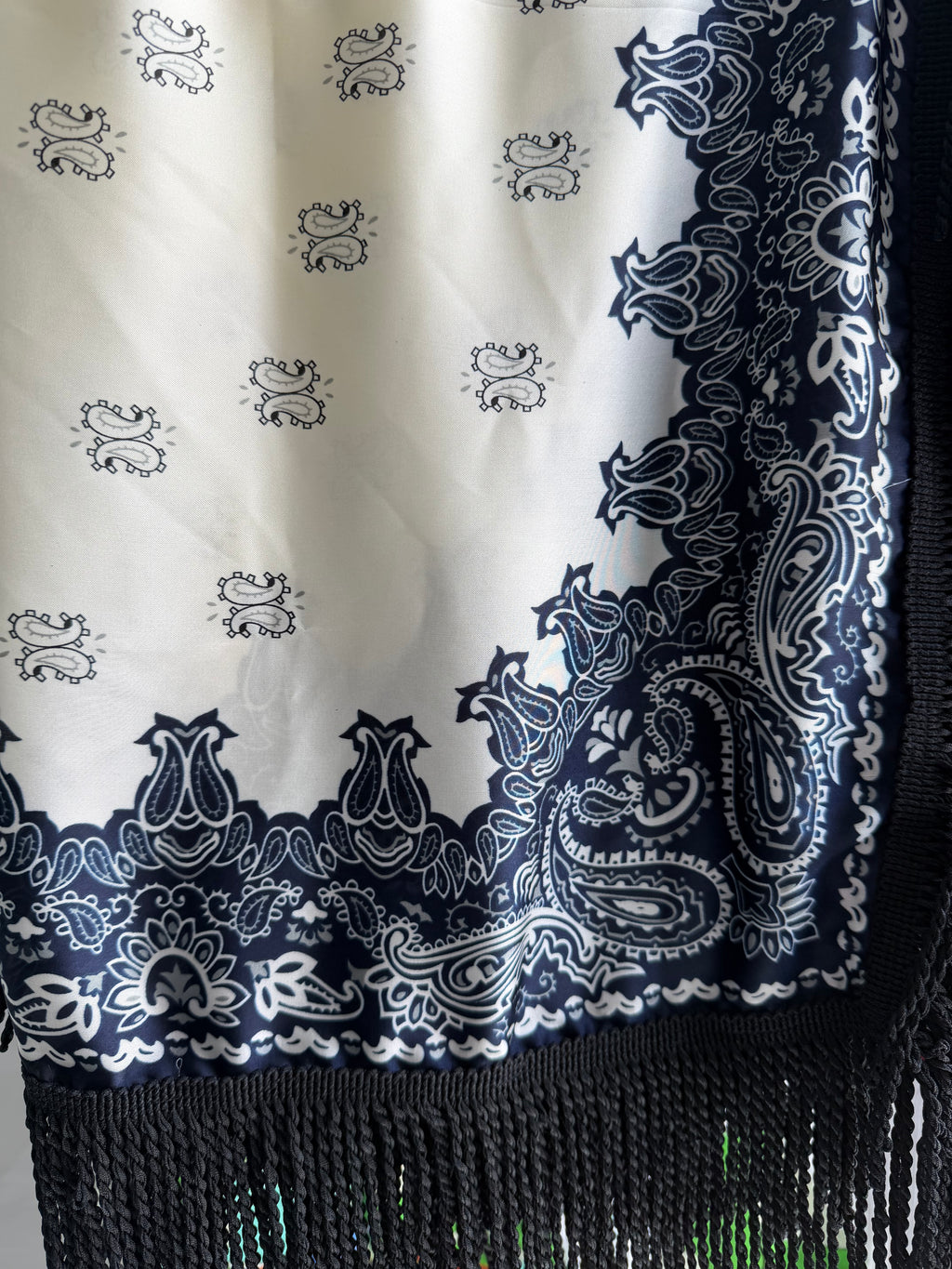 Fringed Printed Silk Twill Scarf
