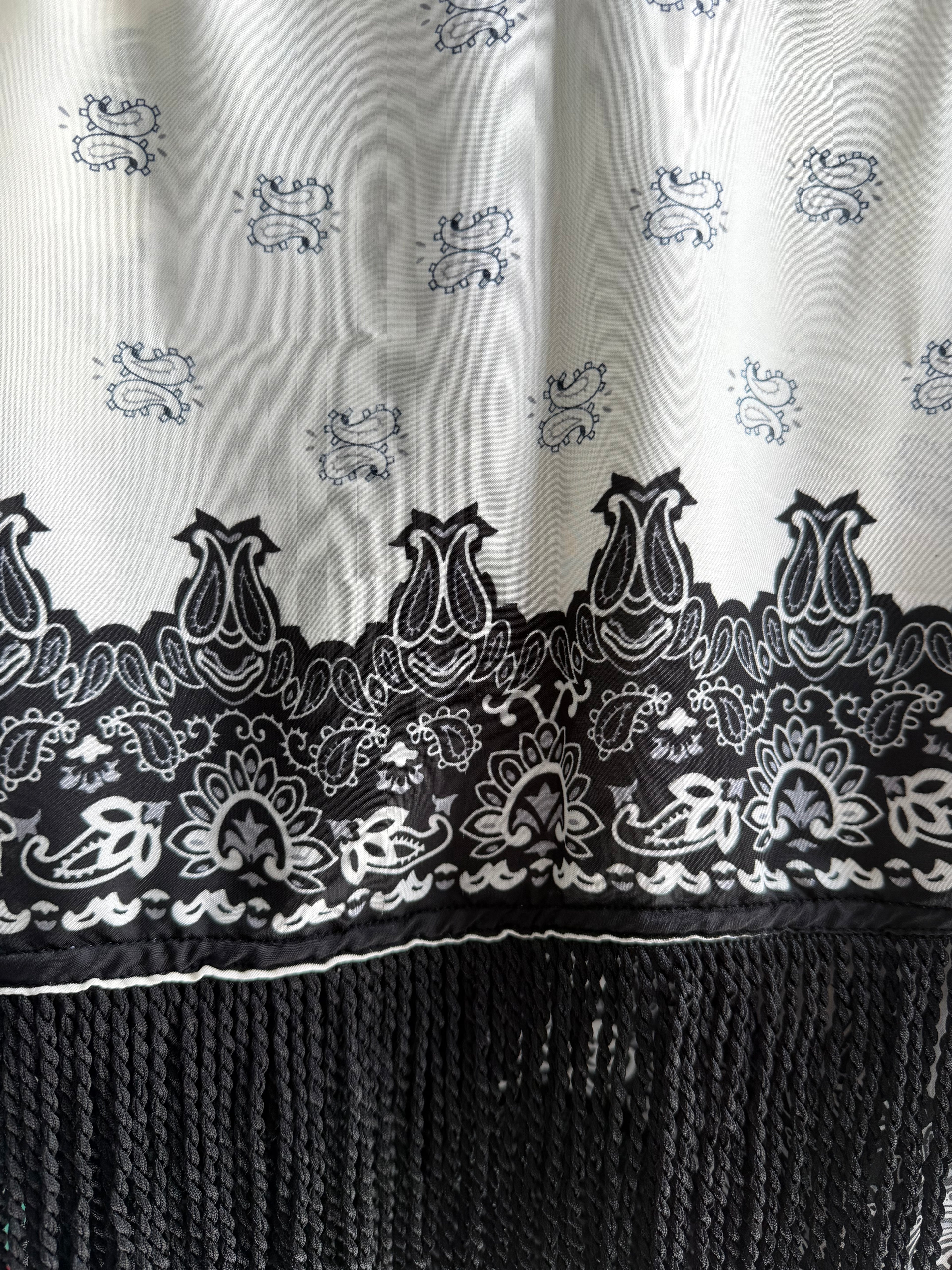 Fringed Printed Silk Twill Scarf