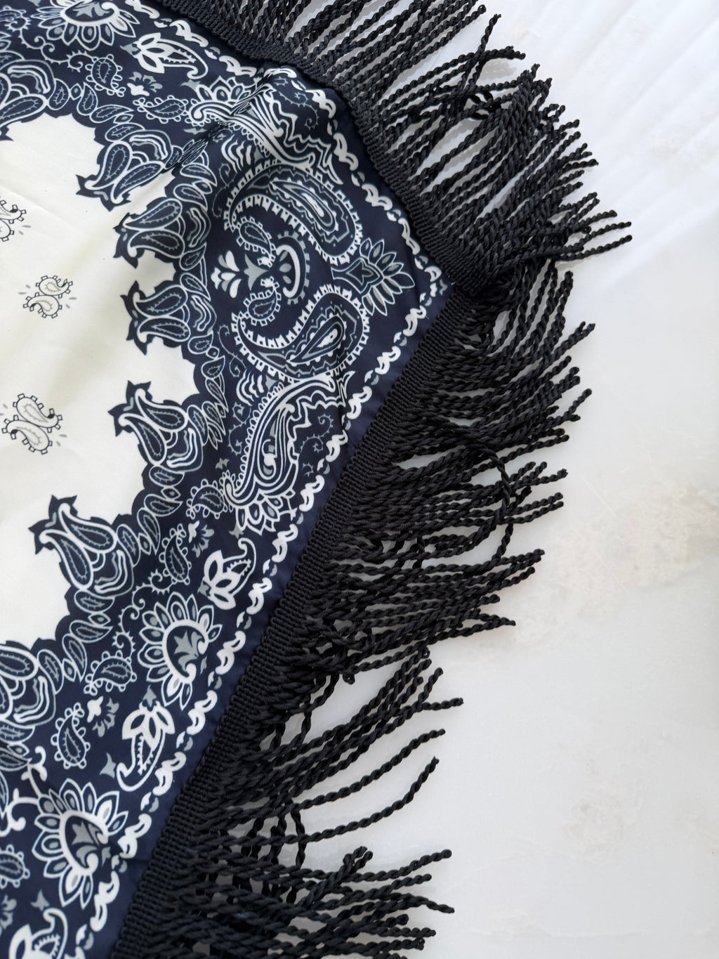 Fringed Printed Silk Twill Scarf