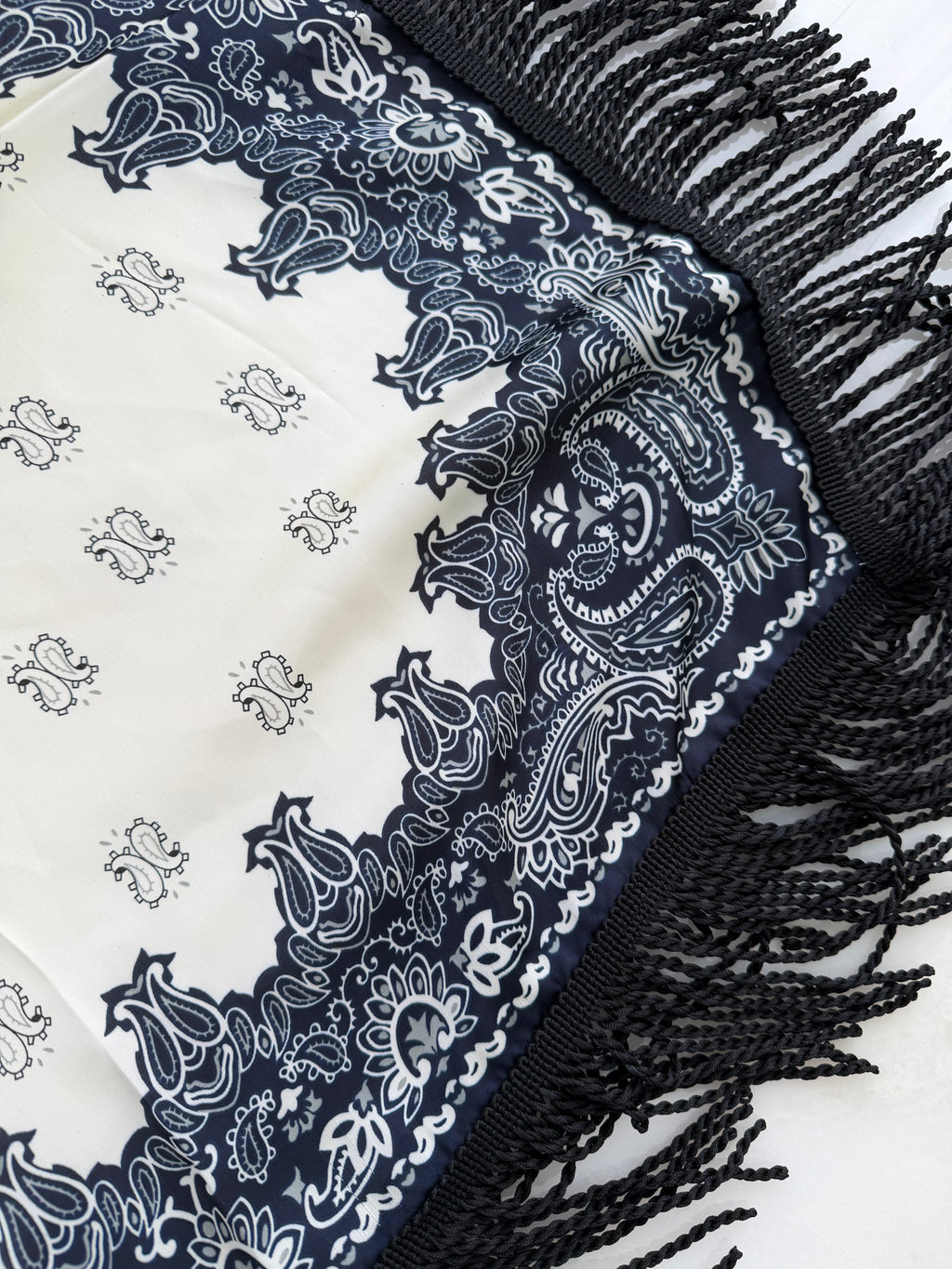 Fringed Printed Silk Twill Scarf
