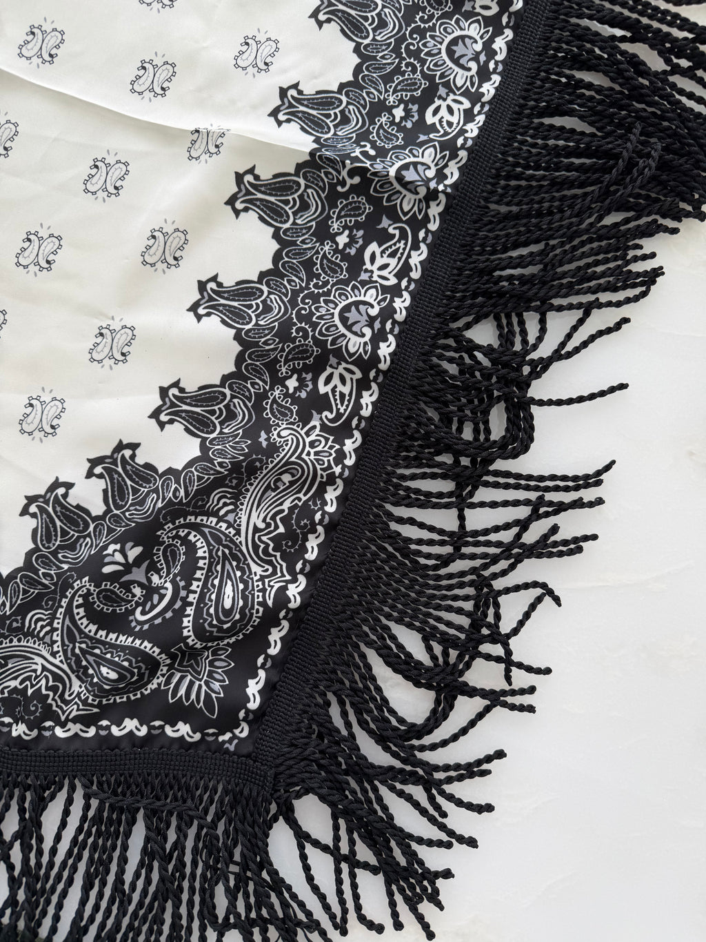 Fringed Printed Silk Twill Scarf