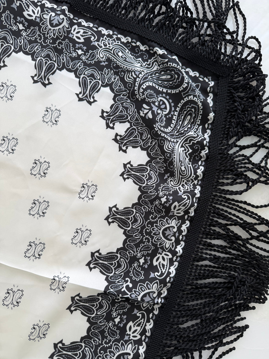 Fringed Printed Silk Twill Scarf